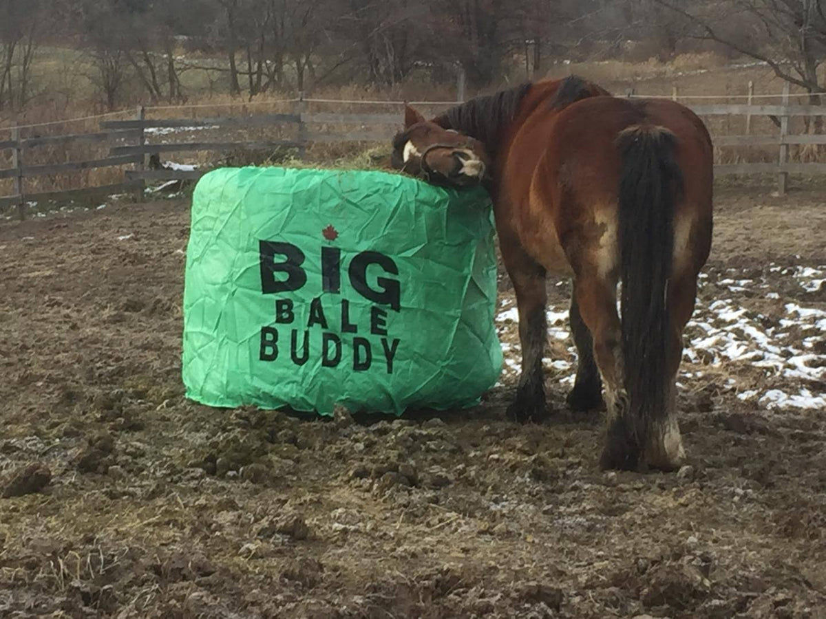 Xlarge Green Round Bale Z3563