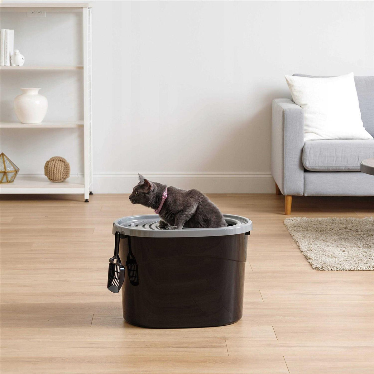 Top Entry Cat Litter Box B513