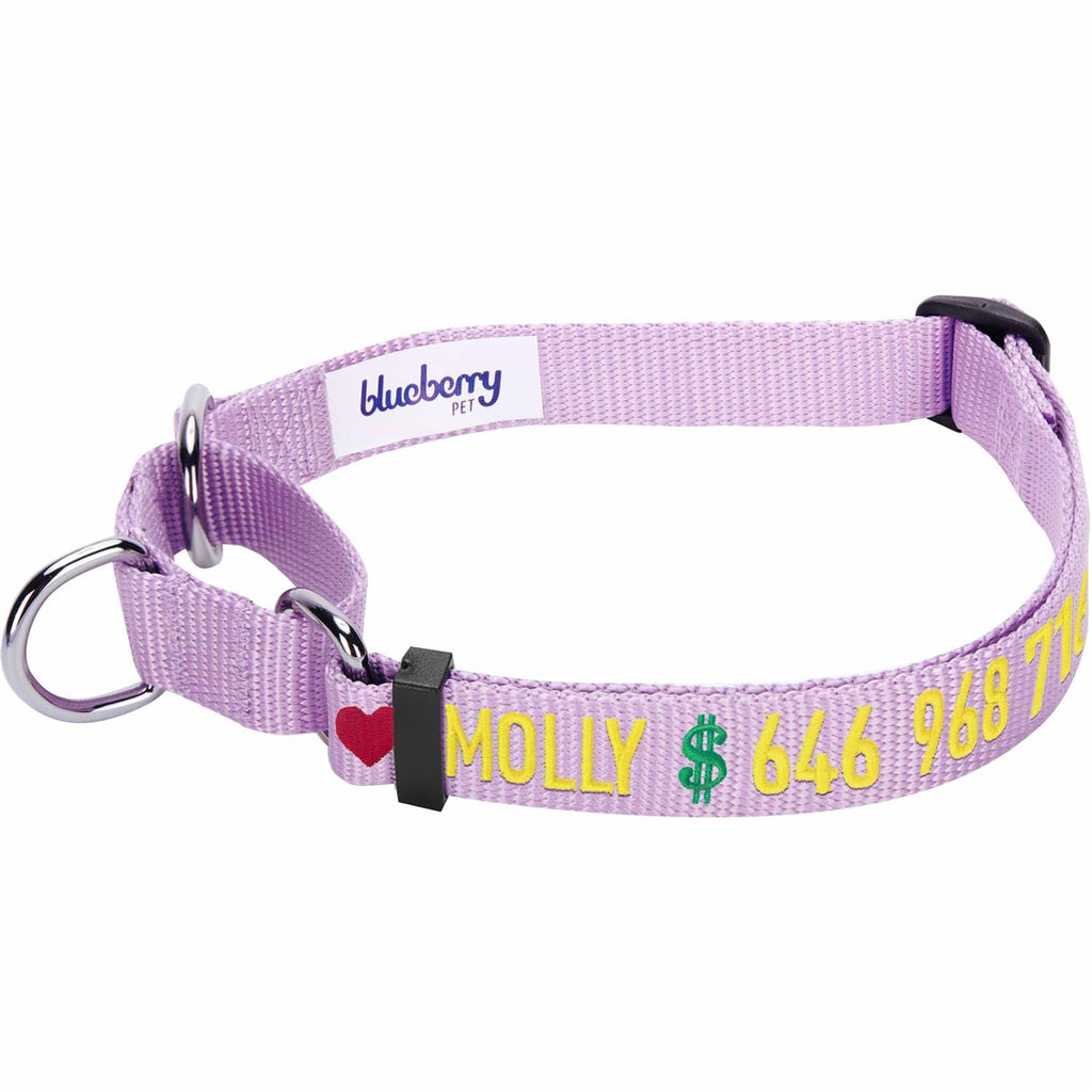 Martingale Safety Training Dog Collar O954025