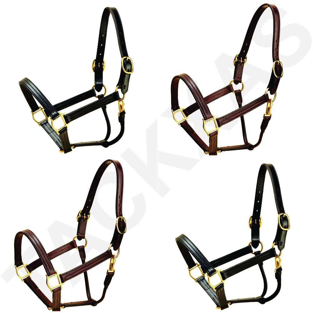 Leather Halter X7534