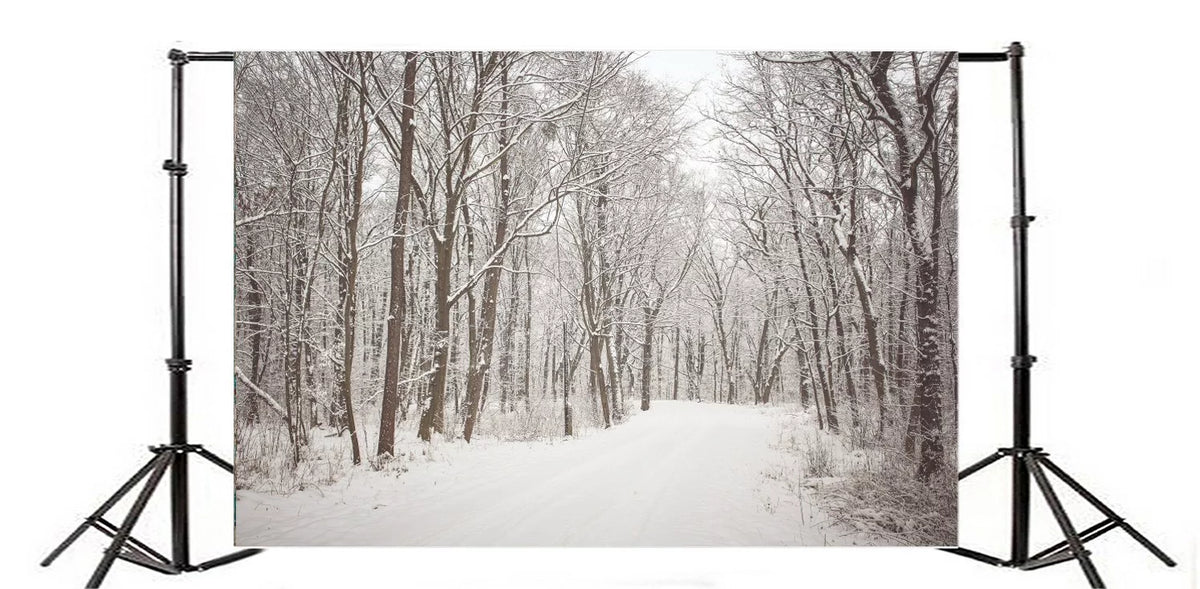 7x5ft Christmas Backdrop Snow Covered Landscape Photography Background B8748
