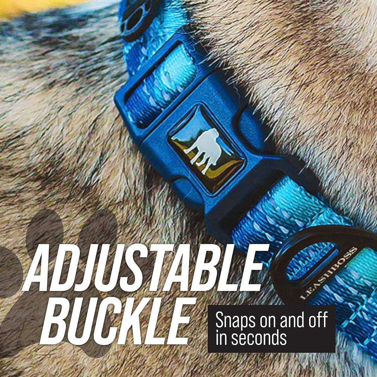 Patterned Fabric Martingale Dog Collar J66061