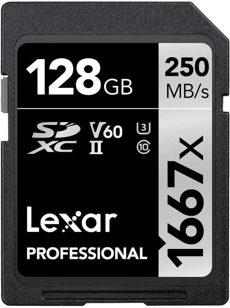 256GB SDXC UHS-II Card L839