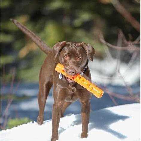 Dog Toy T33945