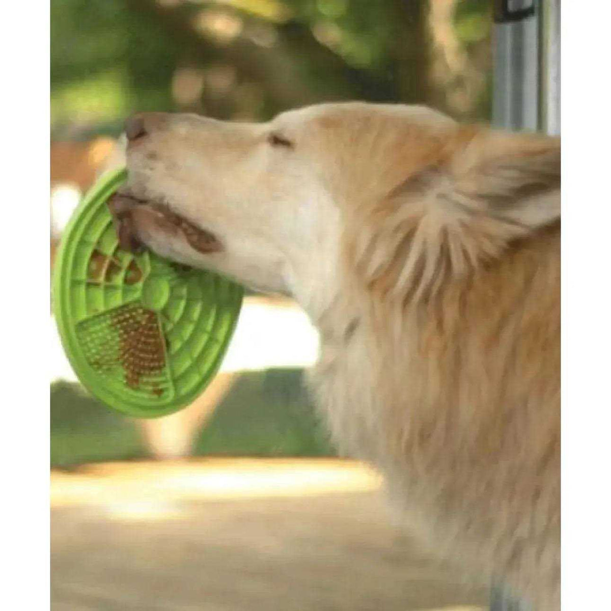 Green Licking Mat I9324