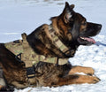 Green Multicam Harness L7215
