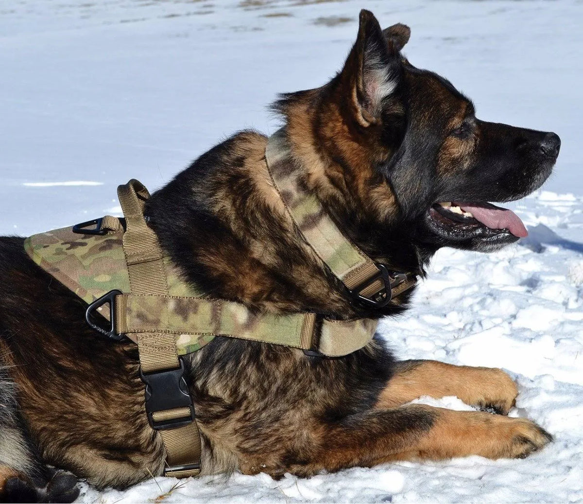 Green Multicam Harness L7215