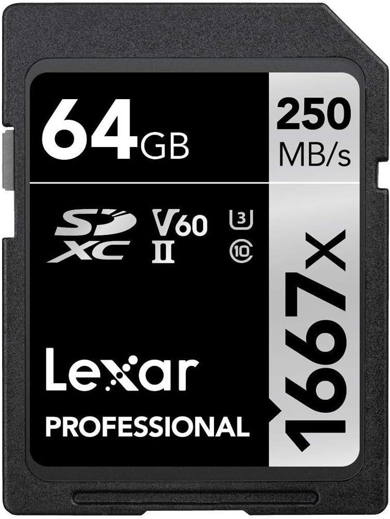256GB SDXC UHS-II Card L839