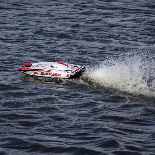 Blackjack 24" Catamaran Brushless RTR D523