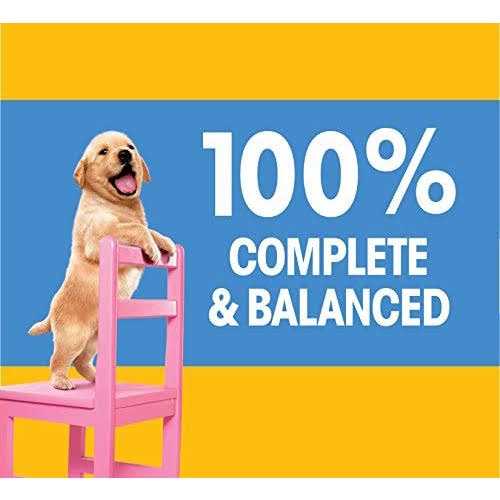 Chicken & Vegetable Dry Dog Food L116