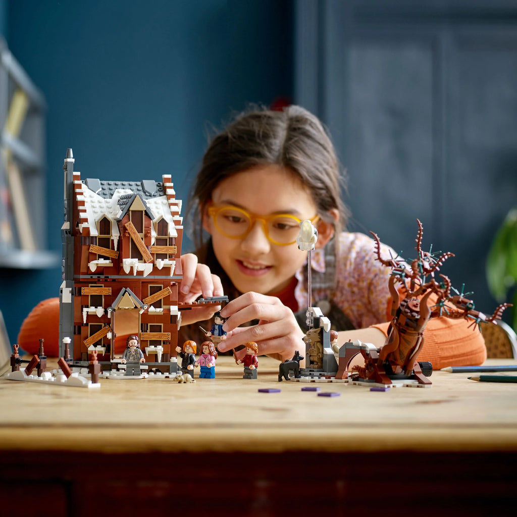2 in 1 Wizarding World Toy Q784