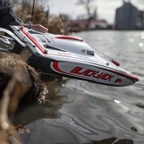 Blackjack 24" Catamaran Brushless RTR D523