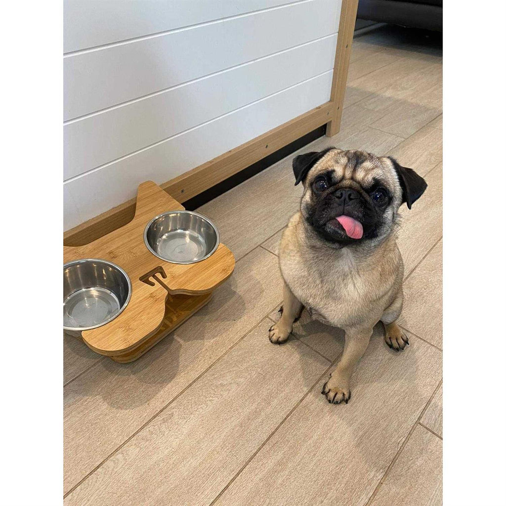 Elevated Dog Bowl Stand with Stainless-Steel Food and Water Bowls E196456