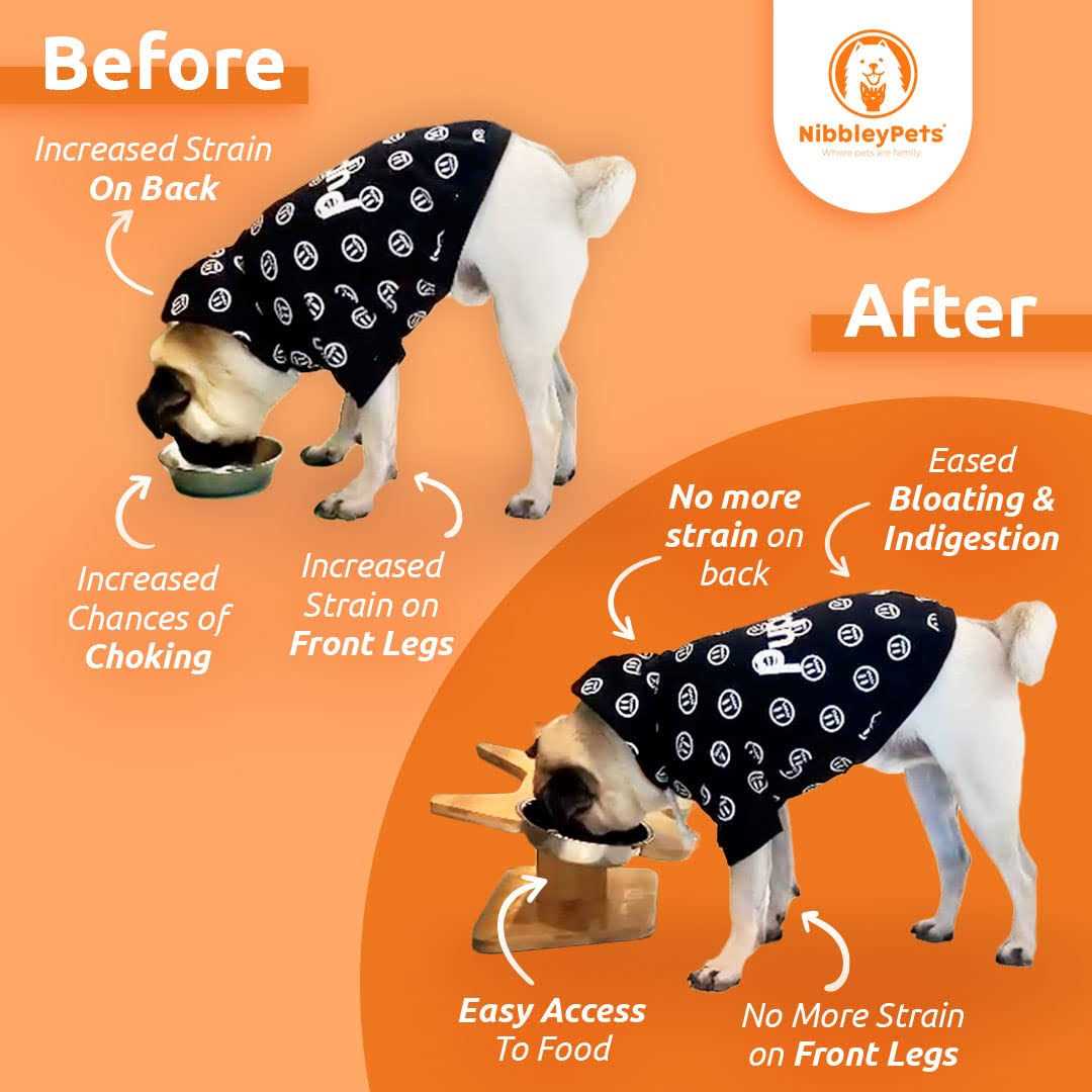 Elevated Dog Bowl Stand with Stainless-Steel Food and Water Bowls E196456