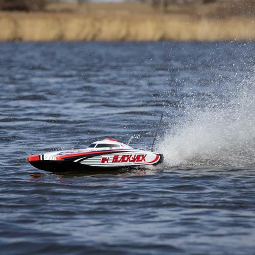 Blackjack 24" Catamaran Brushless RTR D523