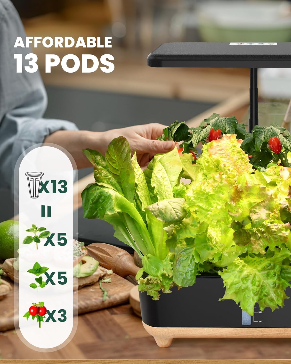 13 Pods Hydroponic Growing System N170784