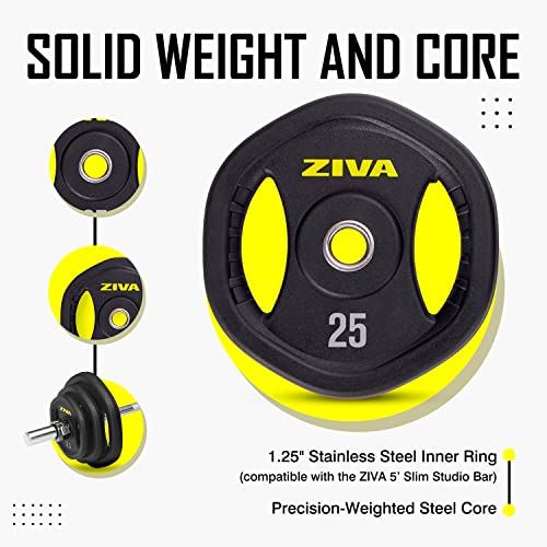 Adjustable Studio Barbell Weight Set - 6 Weight Plates, Knurled Chrome Bar, 2 Collars - 40 pounds F447