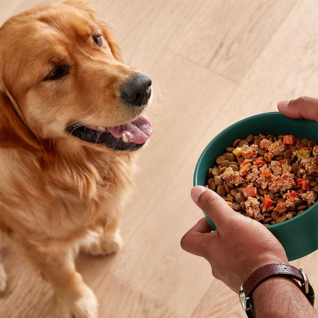 Grain-Free Wet Dog Food I2049