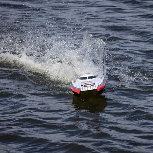 Blackjack 24" Catamaran Brushless RTR D523