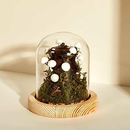 3.9 Inch Mushroom Glass LED Night Light O409840