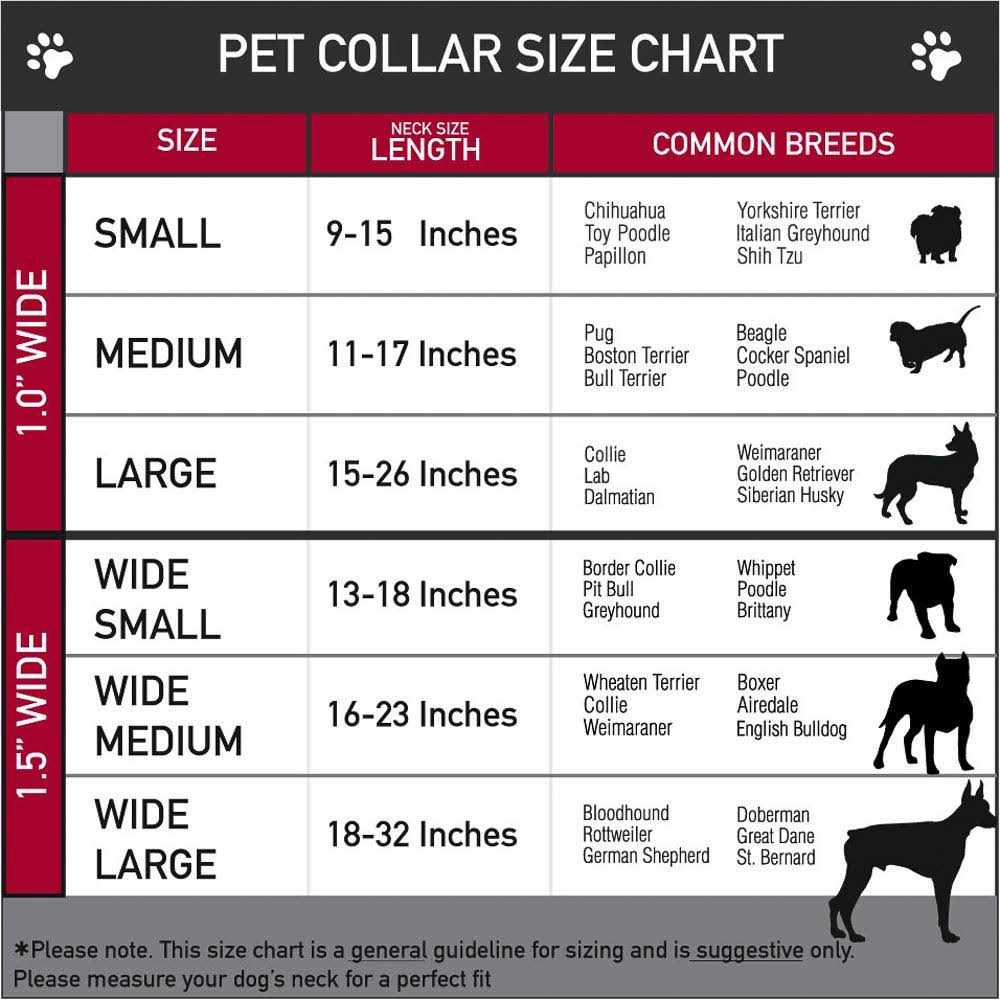 Seatbelt Dog Collar H435