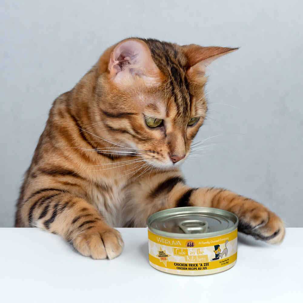 Chicken Cat Food C765