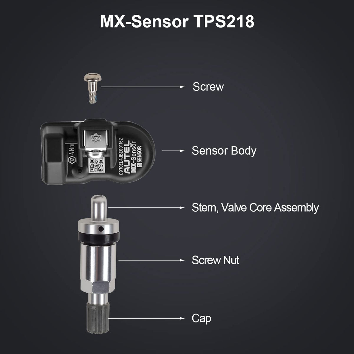 TPMS Sensor 315MHz+433MHz 2 in 1 Dual Frequency Tire Pressure Sensor Sets of 2 (Metal Valves) P191
