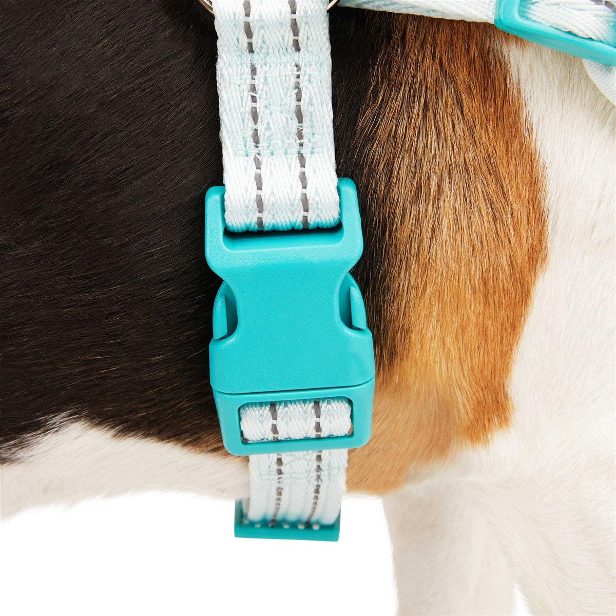 Easy On Training Dog Harness X939716