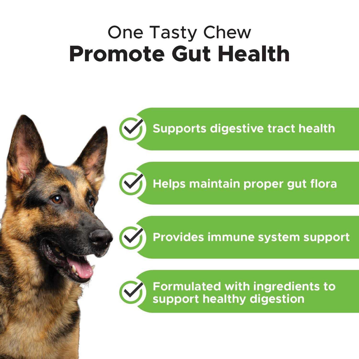 Probiotics for Dogs Digestive Enzymes Q301979
