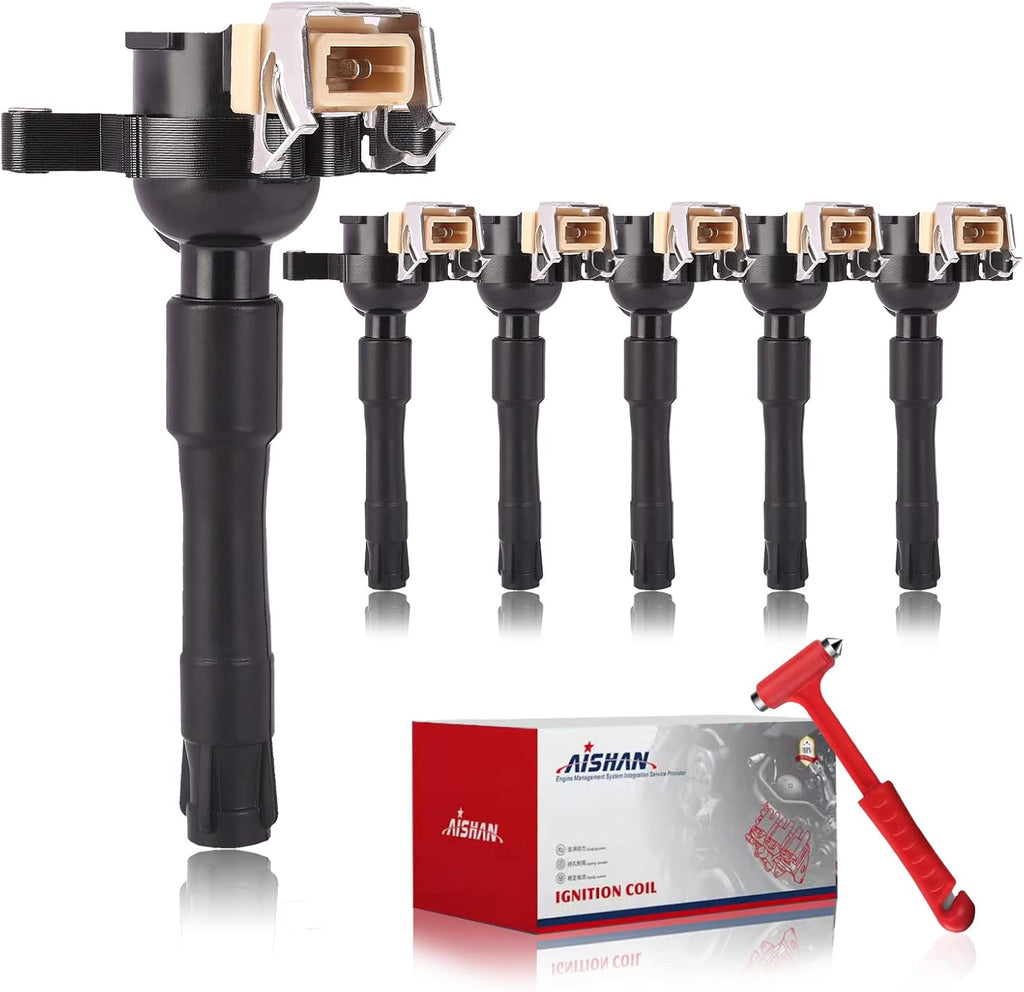 Set of 6 Ignition Coil Pack W474