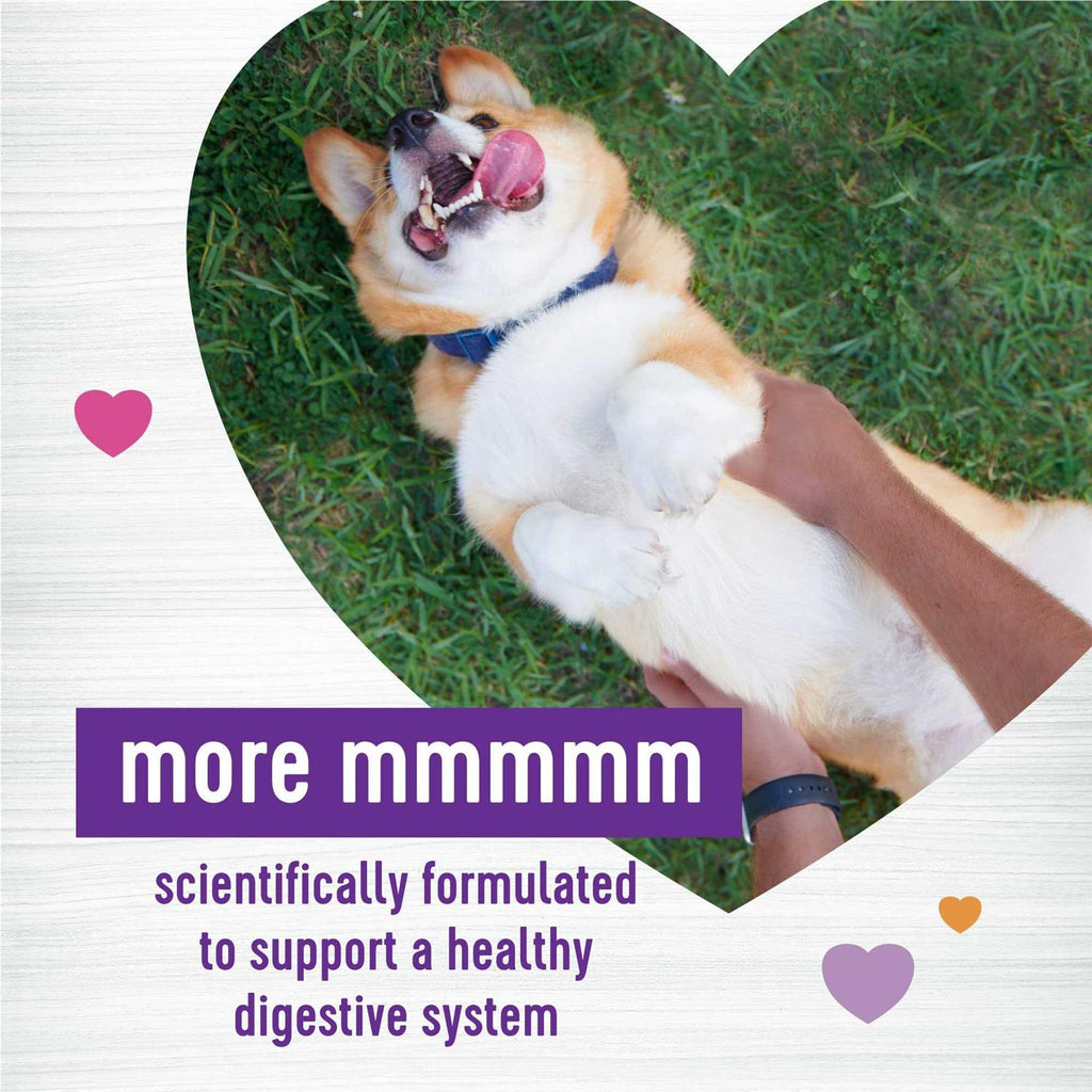 Pumpkin Flavored Soft Chew Digestive Health Supplements for Dogs D562
