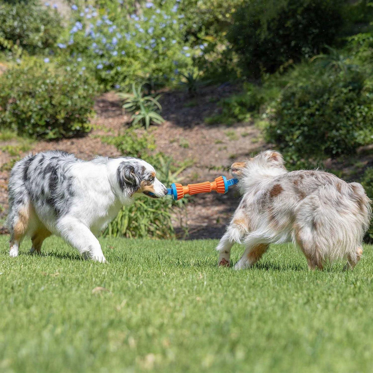 Rugged Bumper Dog Toy R6521