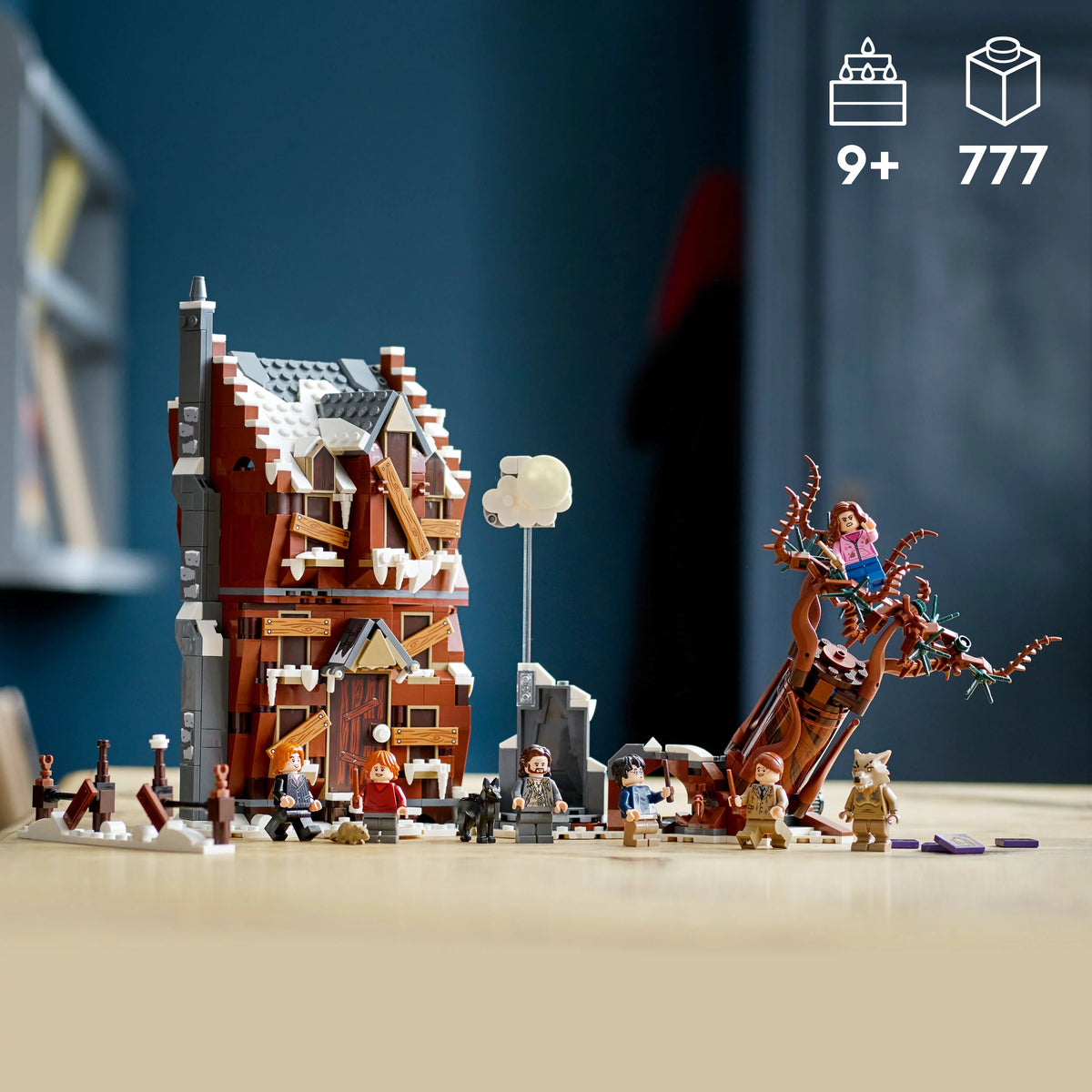 2 in 1 Wizarding World Toy Q784