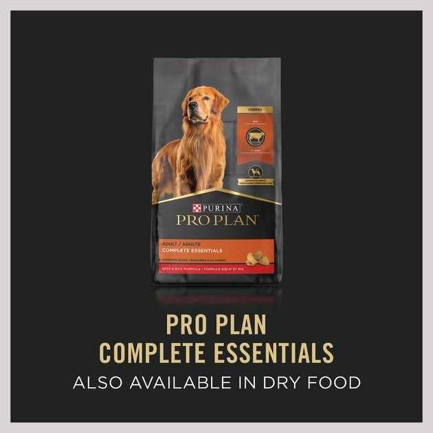 Beef Entree Wet Dog Food K270875