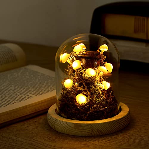 3.9 Inch Mushroom Glass LED Night Light O409840