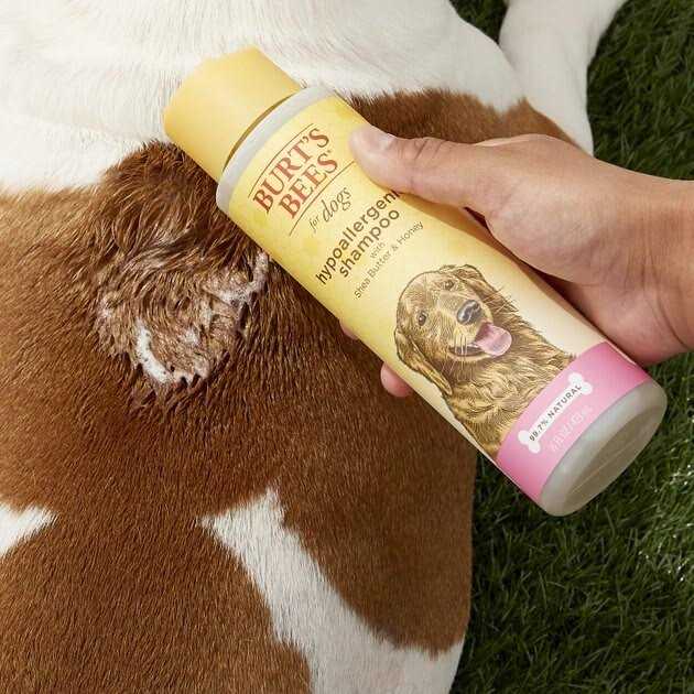 Shampoo O3370