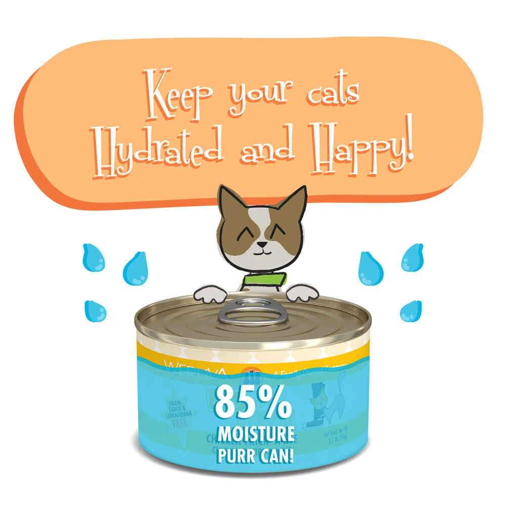 Chicken Cat Food C765
