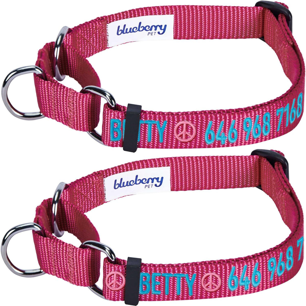 Martingale Safety Training Dog Collar O954025