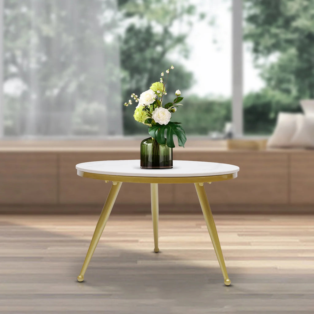 Round Marble Coffee Table L249