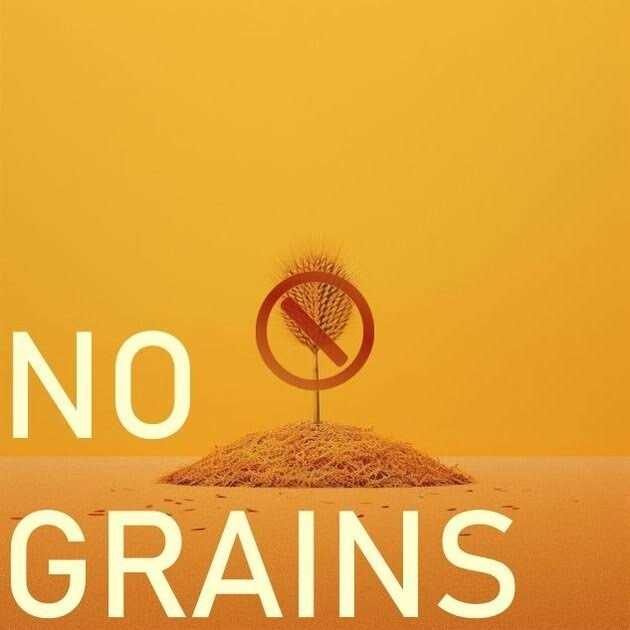 Freeze Dried Chicken Pet Supplies Z672