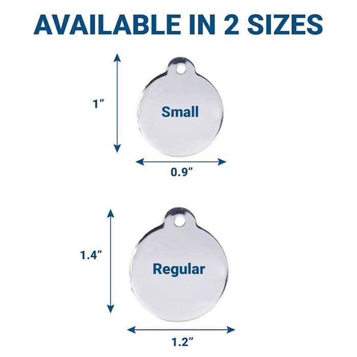 Stainless Steel Personalized Dog & Cat ID Tag I79754