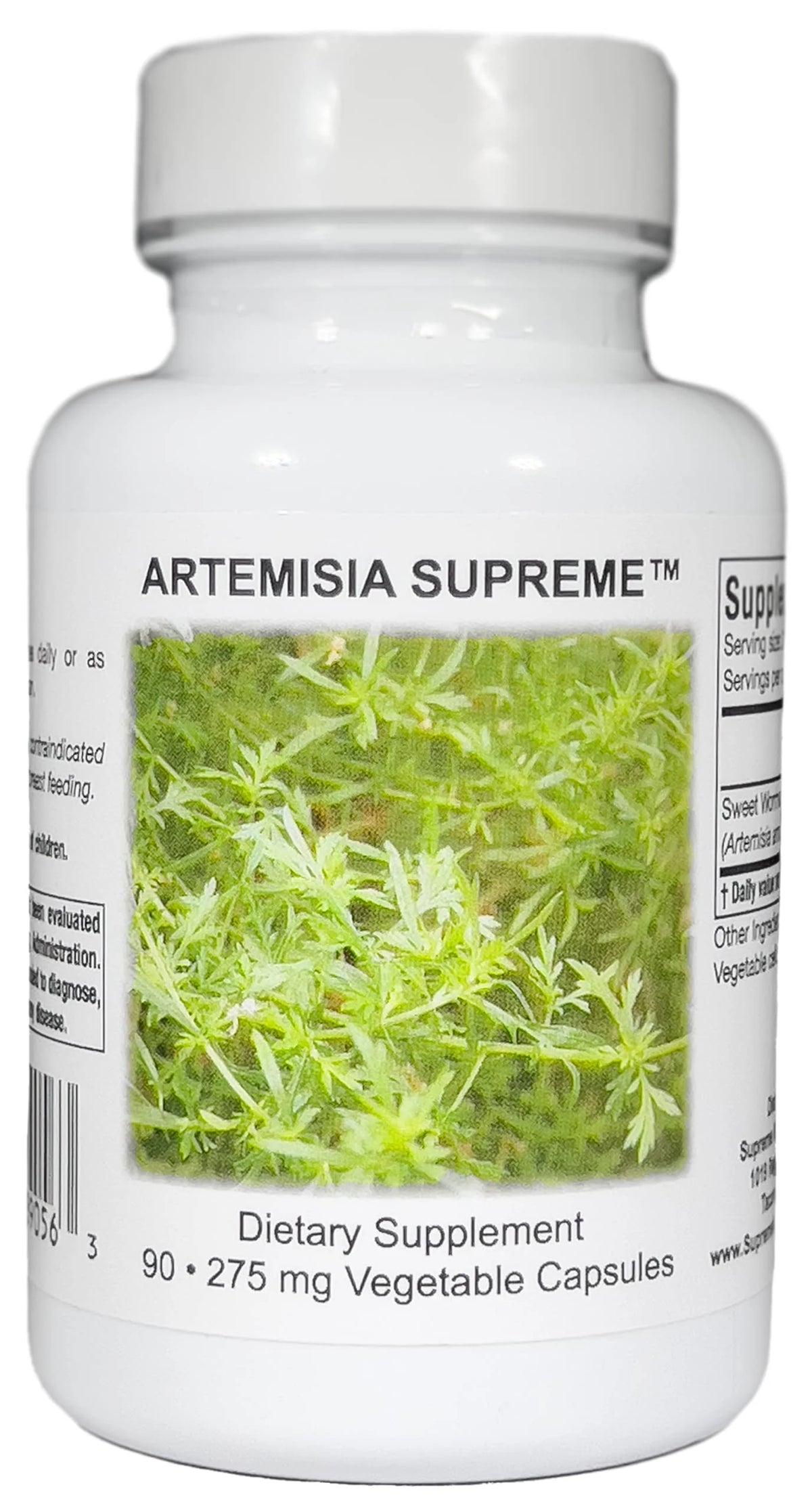90 Sweet Wormwood Vegetarian Capsules I3213