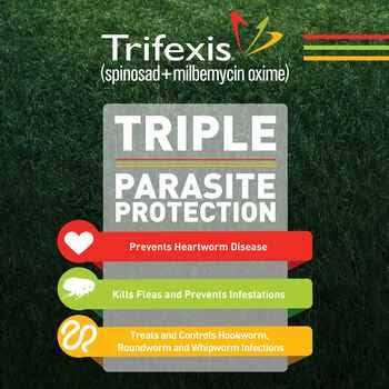 Trifexis for Dogs K928470