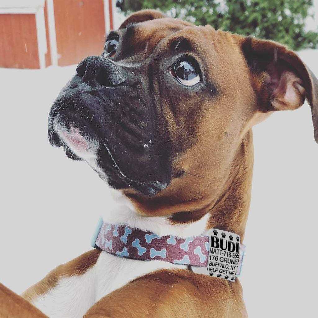 Silent Slide On Silicone Rubber Dog Collar Tag I46087