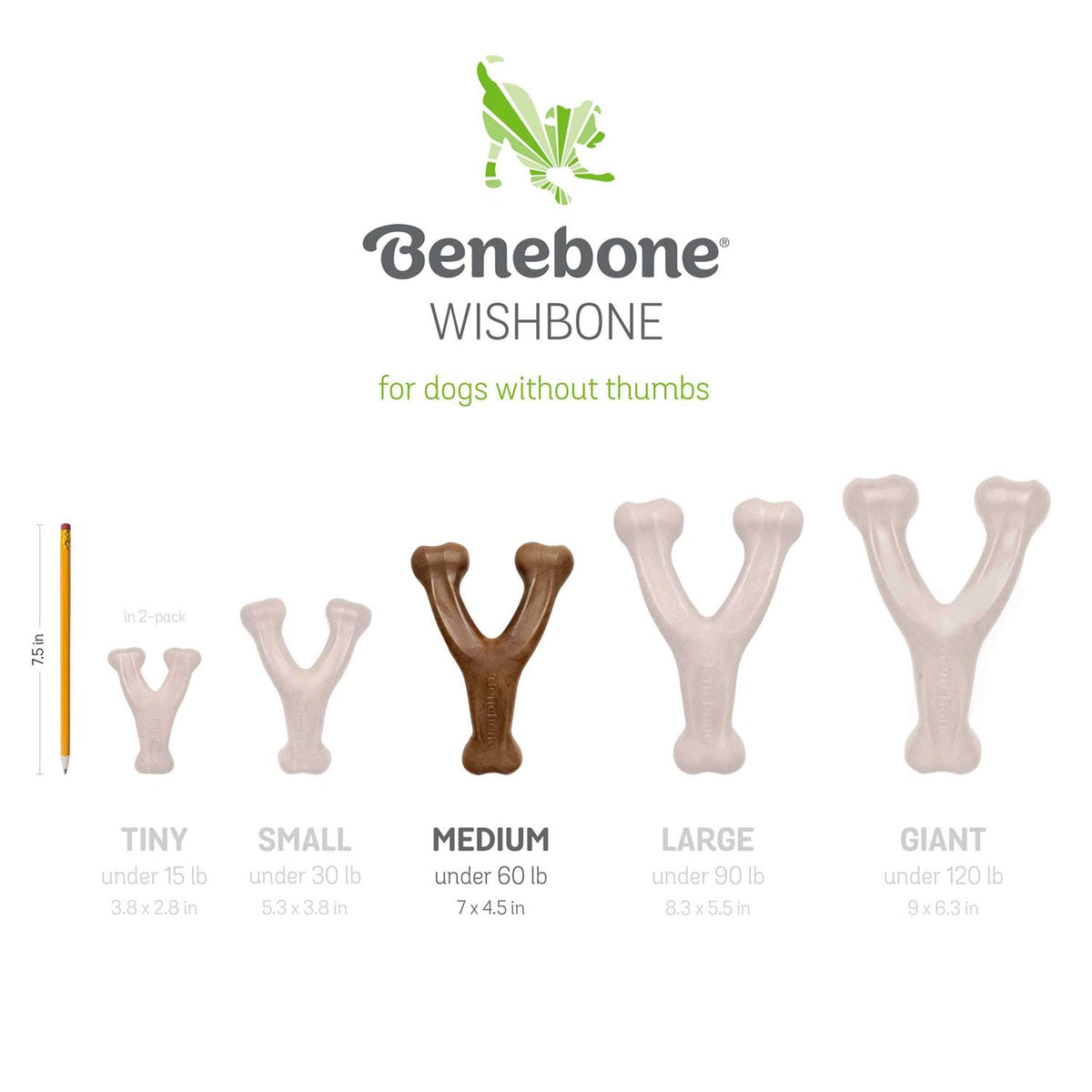 Wishbone Dog Chew S9659
