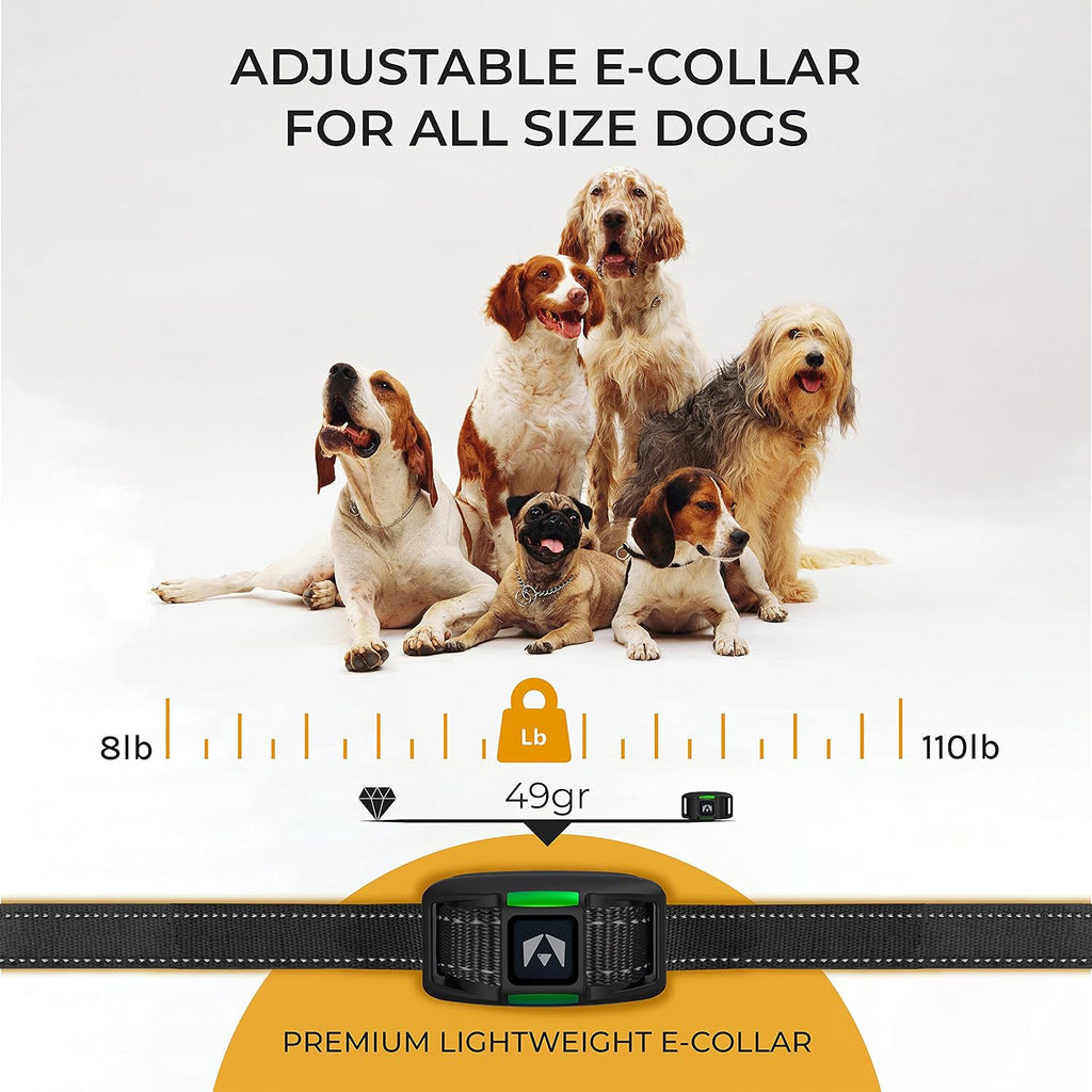 2 Pack Rechargeable Dog Training Collar with 2 Collars V9830