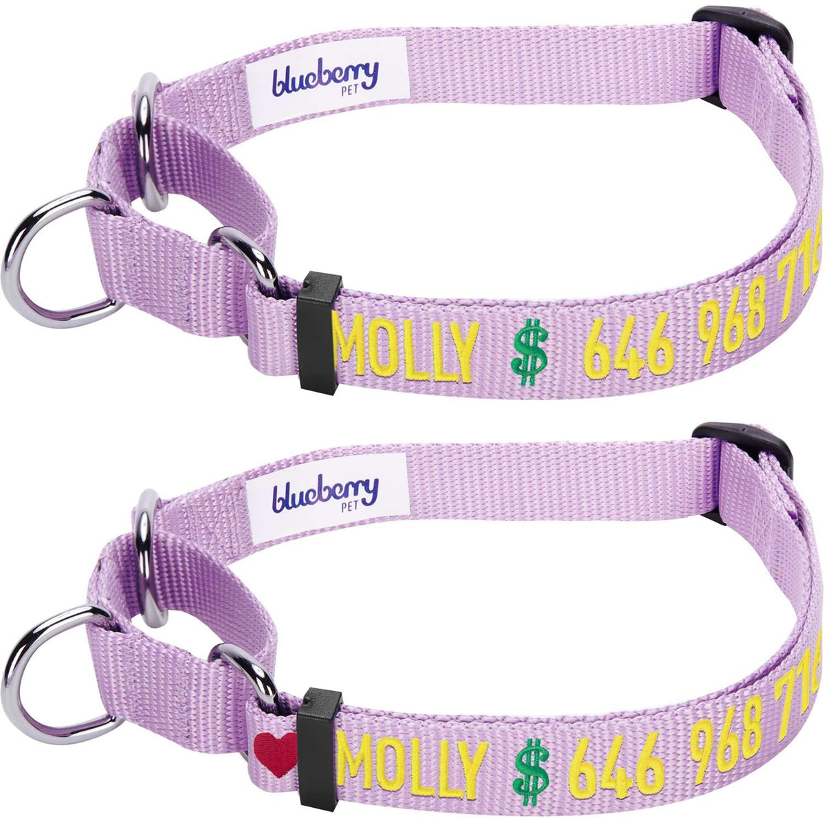 Martingale Safety Training Dog Collar O954025