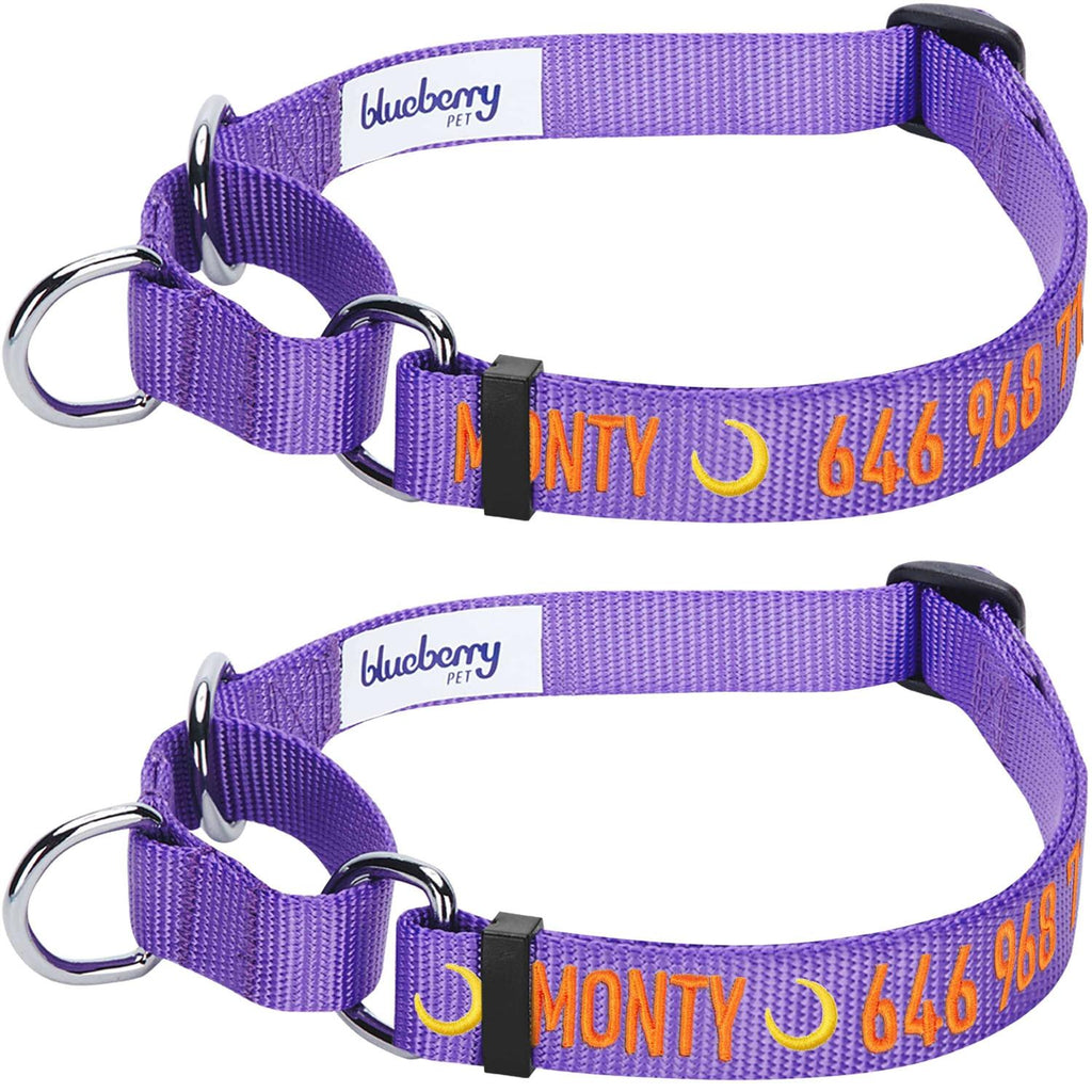 Martingale Safety Training Dog Collar O954025