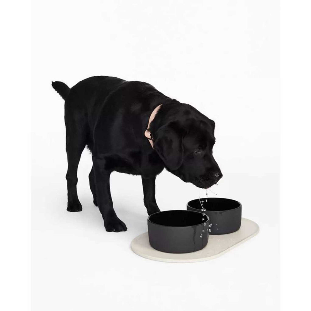 Dog Bowl Mat R224059