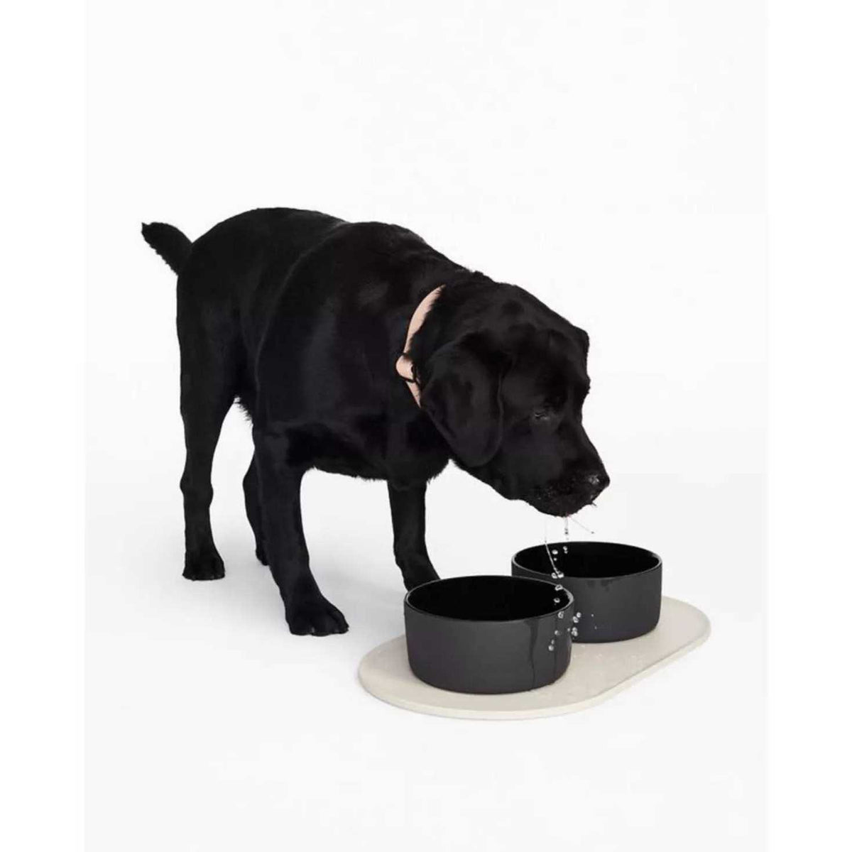 Dog Bowl Mat R224059